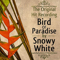 Snowy White - Bird of Paradise