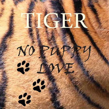 Tiger - No Puppy Love Remix