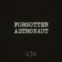 The Rentals - Forgotten Astronaut