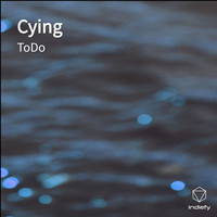 TODO - Cying