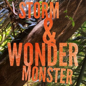 Storm & Wonder / - Monster