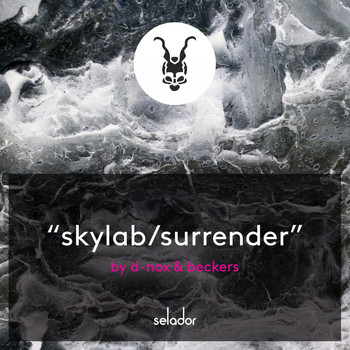 D-Nox & Beckers, D-Nox & Beckers - Skylab / Surrender