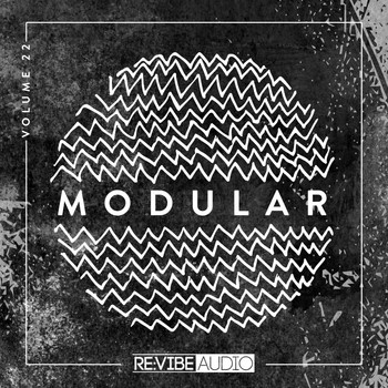 Various Artists - Modular, Vol. 22