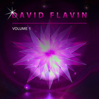 David Flavin - David Flavin, Vol. 1
