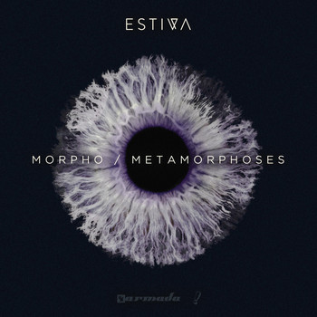 Estiva - Morpho / Metamorphoses