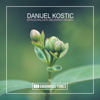 Danijel Kostic - Spacewalker (Milkwish Remix)