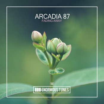 Arcadia 87 - Fading Away