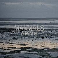 Mammals - Animalia