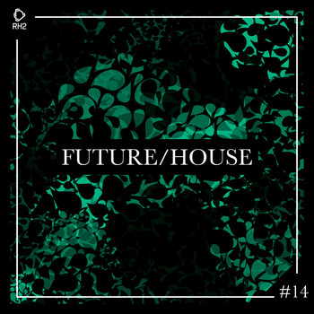 Various Artists - Future/House #14