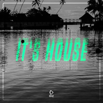 Various Artists - It's House - Strictly House, Vol. 30