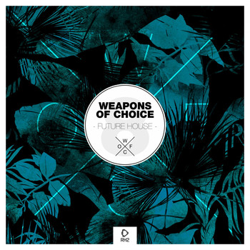 Various Artists - Weapons of Choice - Future House #9