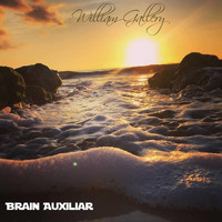 William Gallery - Brain Auxiliar