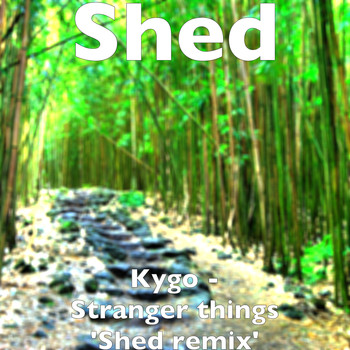 Shed - Kygo - Stranger things 'Shed remix'