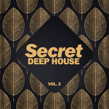 Various Artists - Secret Deep House, Vol. 2