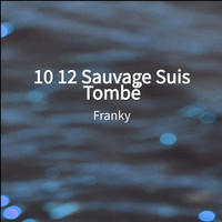 FRANKY - 10 12 Sauvage Suis Tombé