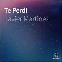 Javier Martinez - Te Perdi