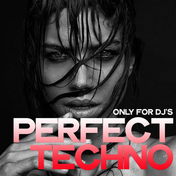 Various Artists - Perfect Techno (Only for DJ's)