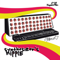 The Snipplers - Synthesizer's Nipple