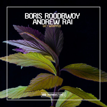 Boris Roodbwoy & Andrew Rai - Get Whipped