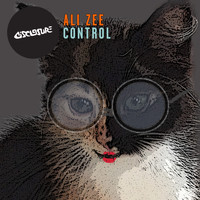 Ali Zee - Control