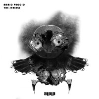 Mario Puccio - The Strings