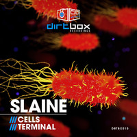 Slaine - Cells / Terminal