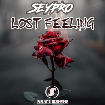 Seypro - Lost Feeling