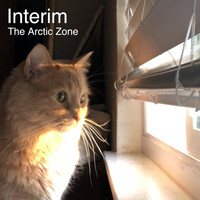 The Arctic Zone - Interim