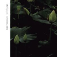 Steve Jansen feat. Anja Garbarek - Cancelled Pieces (Live)