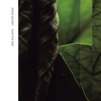 Steve Jansen feat. Thomas Feiner - Sow The Salt (Live)