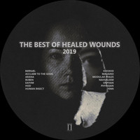 Human Insect - The Best Of Healed Wounds 2019