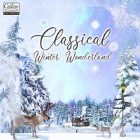 Various Artists and Various Composers - Classical Winter Wonderland