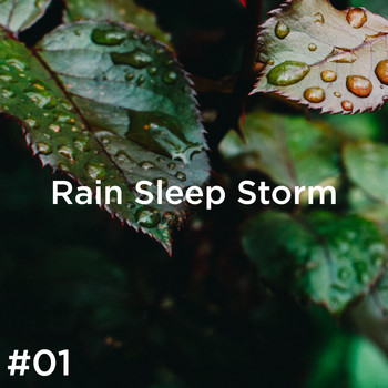 Thunderstorm Sound Bank and Thunderstorm Sleep - #01 Rain Sleep Storm