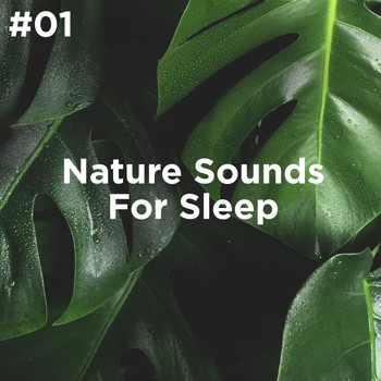 Sleep Sounds of Nature and Nature Sound Collection - #01 Nature Sounds For Sleep