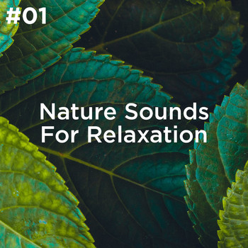 Sleep Sounds of Nature and Nature Sound Collection - #01 Nature Sounds For Relaxation