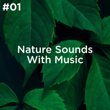 Sleep Sounds of Nature and Nature Sound Collection - #01 Nature Sounds With Music