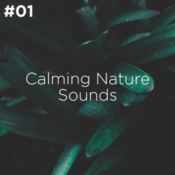 Sleep Sounds of Nature and Nature Sound Collection - #01 Calming Nature Sounds