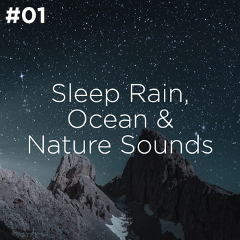Sleep Sounds of Nature and Nature Sound Collection - #01 Sleep Rain, Ocean & Nature Sounds