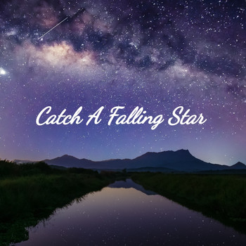 Various Artists - Catch a Falling Star