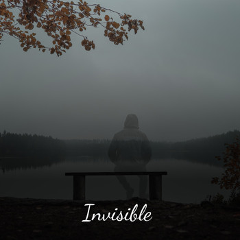 Various Artists - Invisible
