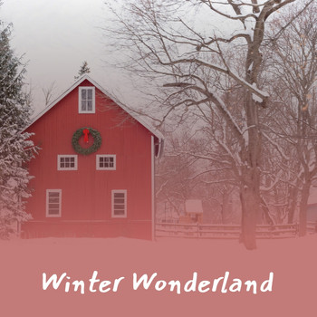 Various Artists - Winter Wonderland