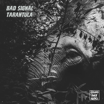 Bad Signal - Tarantula