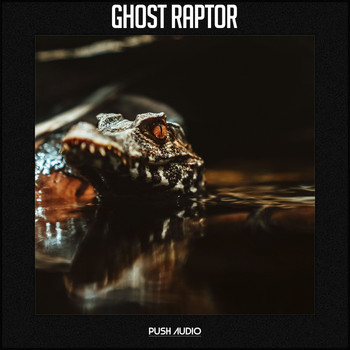 Various Artists - Ghost Raptor
