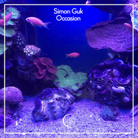 Simon Guk - Occasion