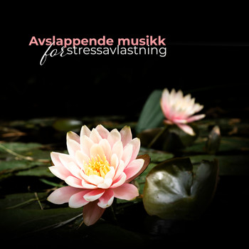 Mindfulness Meditation Music Spa Maestro - Avslappende musikk for stressavlastning – Meditasjon, Yoga, Spa lyder