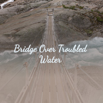 Various Artists - Bridge over Troubled Water