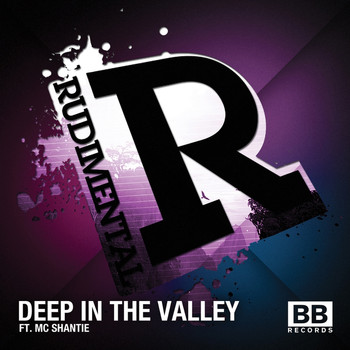Rudimental - Deep in the Valley