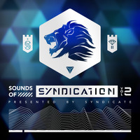 Syndicate - Sounds of Syndication, Vol. 2 (Presented by Syndicate)
