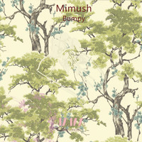 Mimush - Bumpy