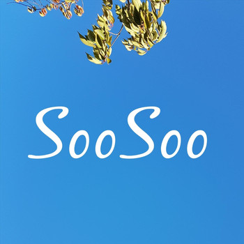 Roger Helmus - Soosoo